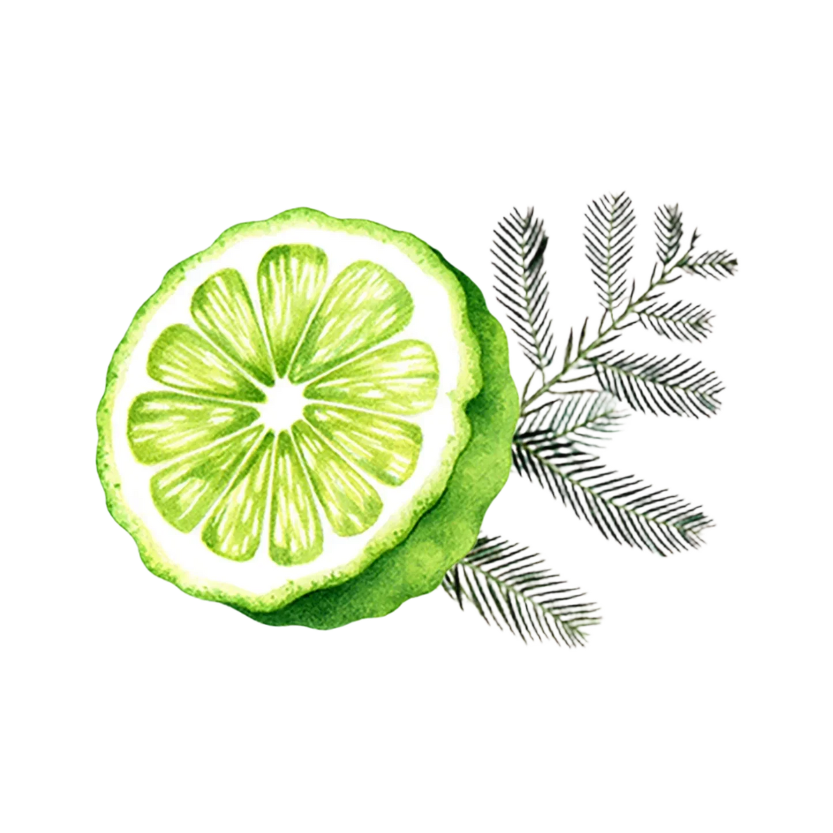 All Purpose Natural Cleaner - Bergamot & Cypress