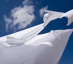 Liquid Laundry Detergent (Fresh Linen)